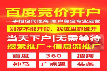某电商平台的SEM广告投放全流程解析